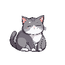 cute sleeping cat