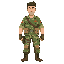 humano con ropa de soldado