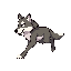 lobo caminando a la derecha
