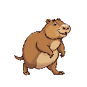 create an animated image of a capybara walking in four directions.