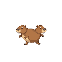 create an animated image of a capybara walking in four directions.
