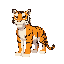 anthro tiger