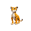 standing up tiger