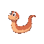 an earthworm