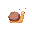 a snail