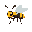 a wasp