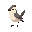 sparrow
