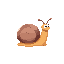 a snail