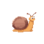 a snail