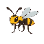 a wasp