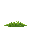 grass facing away from the camera