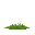 grass facing away from the camera
