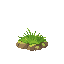 grass