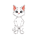 cat white