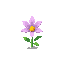 weed flower