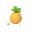potato