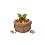 seed stash