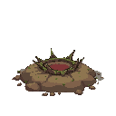 thorn trap on the ground