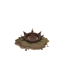 thorn trap on the ground