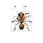  top-down ant for a simulation game and her movement 
