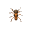  top-down ant for a simulation game. 