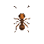  top-down ant for a simulation game. 