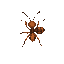  top-down ant for a simulation game and her movement 