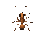  top-down ant for a simulation game and her movement 
