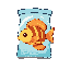 a royal gramma inside a water bag