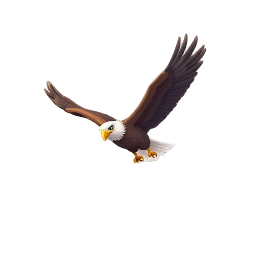 eagle flying i the sky 