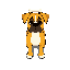 boxer dog, yellow, simplistic, with a bone on the head