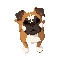 boxerdog top down gba