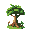 rainforest tree