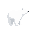 polar bear facing right