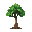 rainforest tree