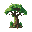 rainforest tree