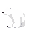 polar bear facing right
