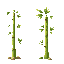 bamboo