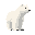 polar bear standing right