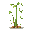 bamboo