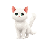 furry white cat