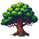 a large bushy oak tree