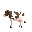cow facing left