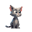 cat standing looking to the  right gray color 