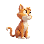 cat standing looking to the right 