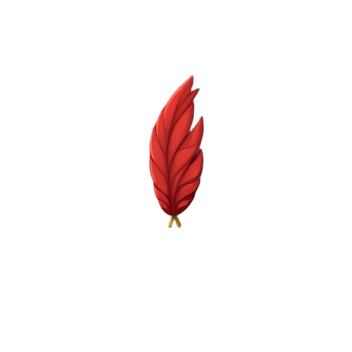 red bird feathers