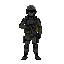 swat