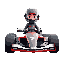 the character is a formula 1 pilot