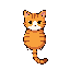 an orange tabby cat
