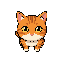 an orange tabby cat that looks at you